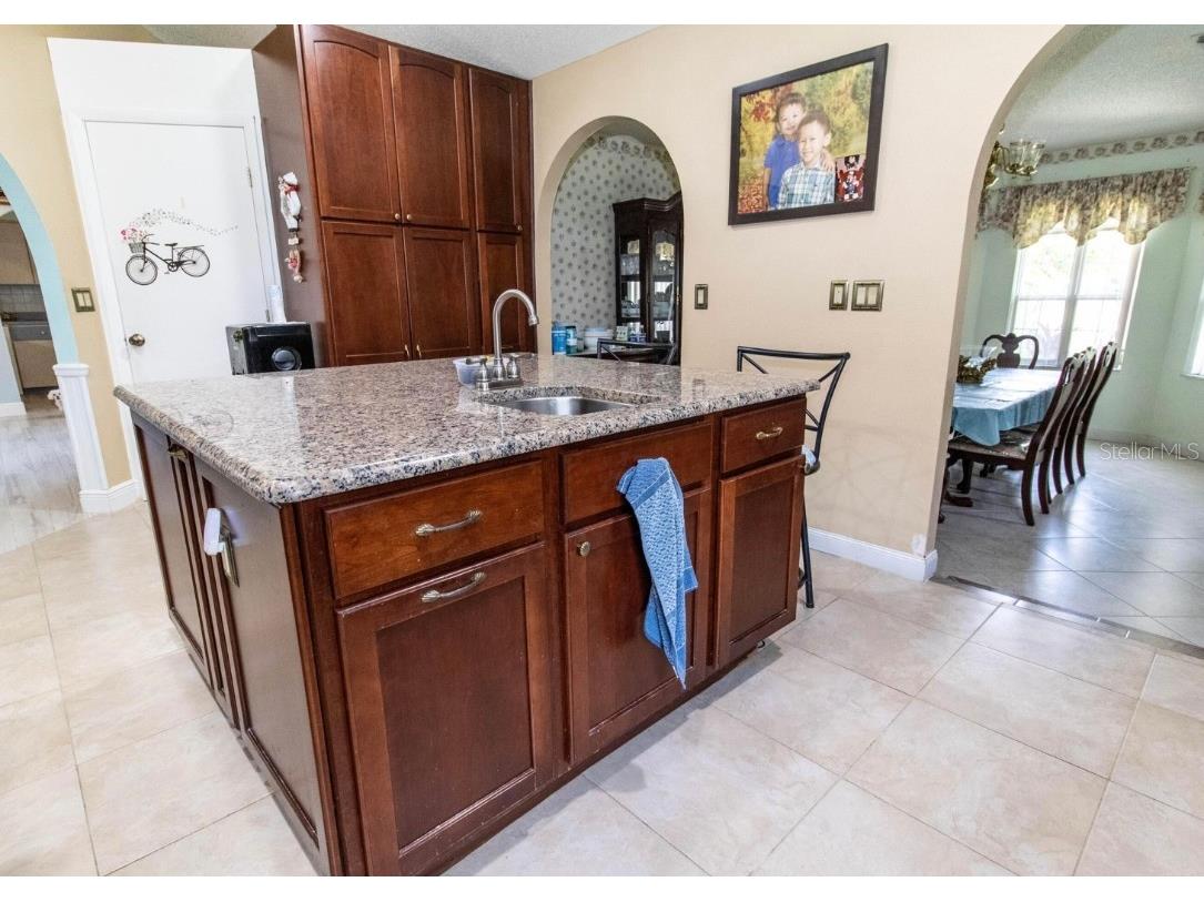 22106 Garmisch Way Brooksville FL 34601 W7880537 image13