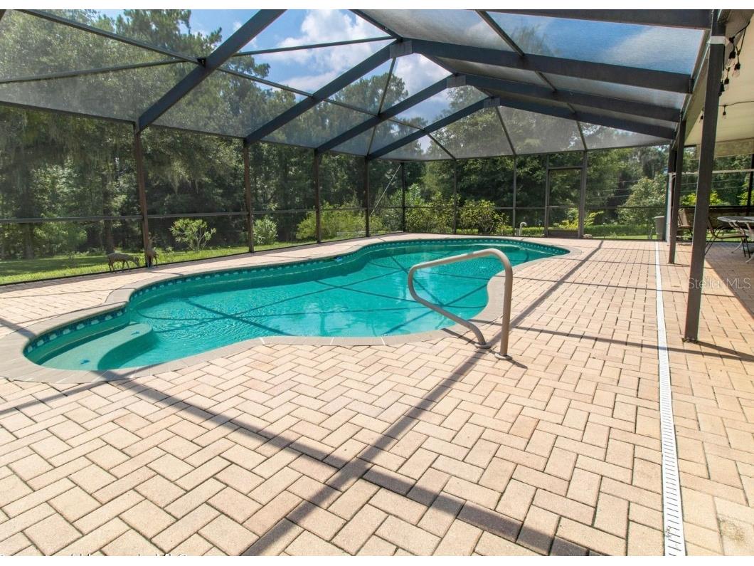 22106 Garmisch Way Brooksville FL 34601 W7880537 image34