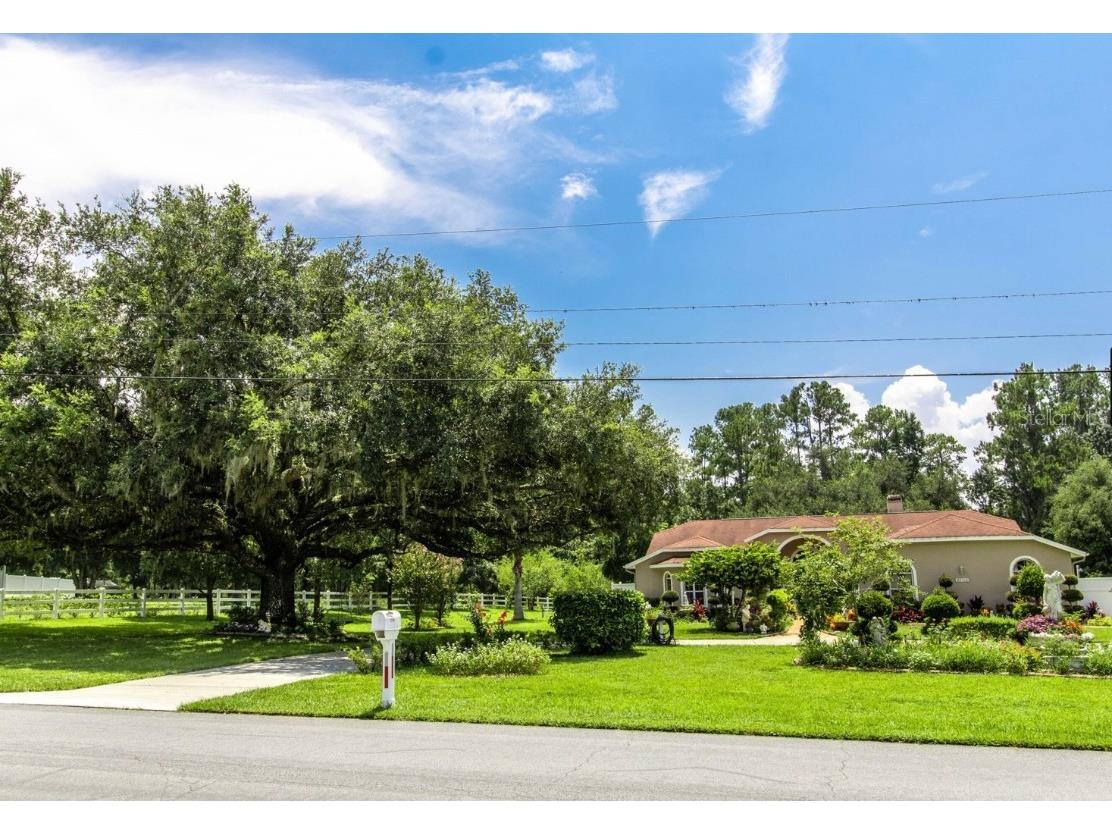 22106 Garmisch Way Brooksville FL 34601 W7880537 image4