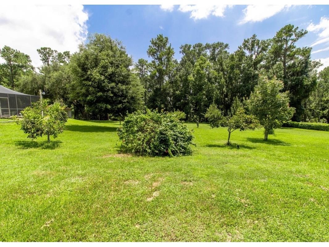 22106 Garmisch Way Brooksville FL 34601 W7880537 image53