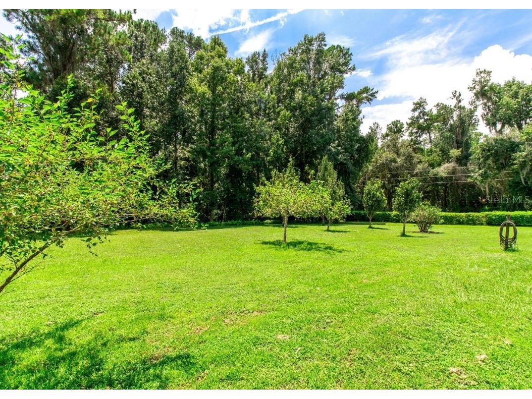 22106 Garmisch Way Brooksville FL 34601 W7880537 image54