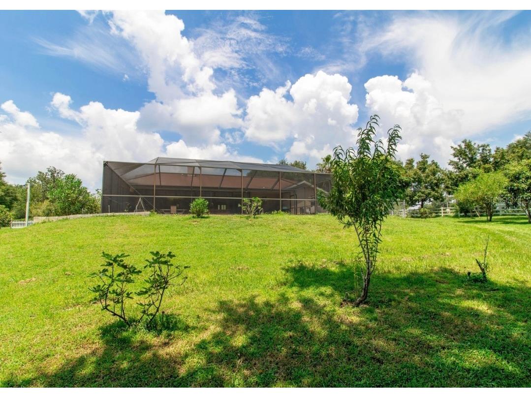 22106 Garmisch Way Brooksville FL 34601 W7880537 image55