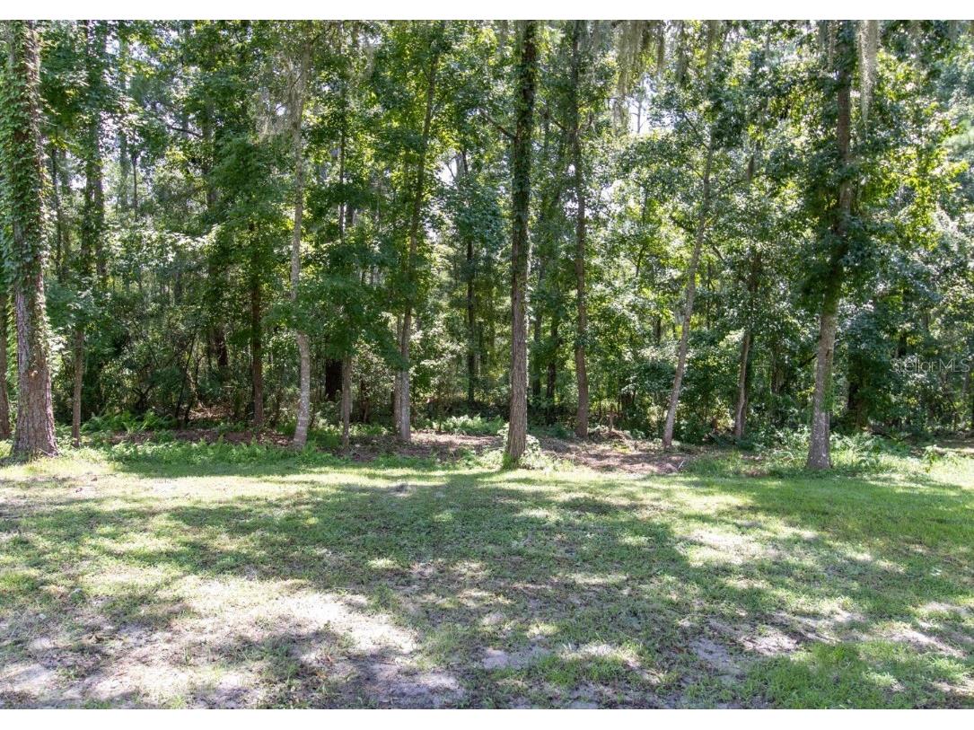 22106 Garmisch Way Brooksville FL 34601 W7880537 image56