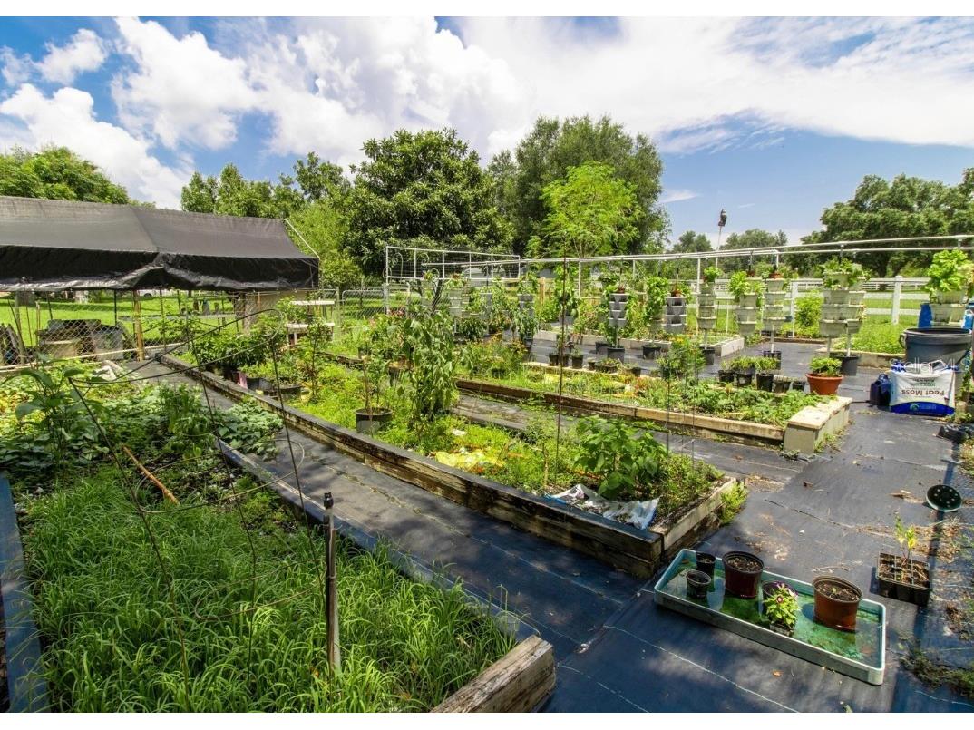 22106 Garmisch Way Brooksville FL 34601 W7880537 image58