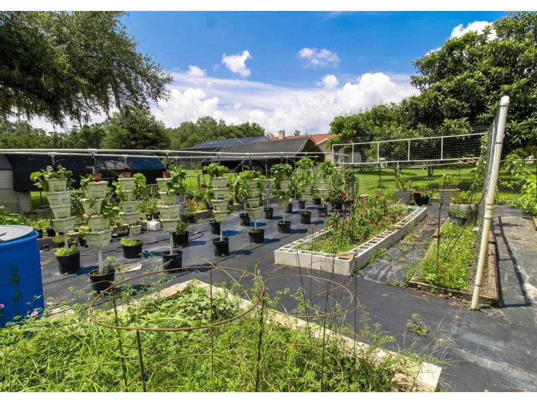 22106 Garmisch Way Brooksville FL 34601 W7880537 image59