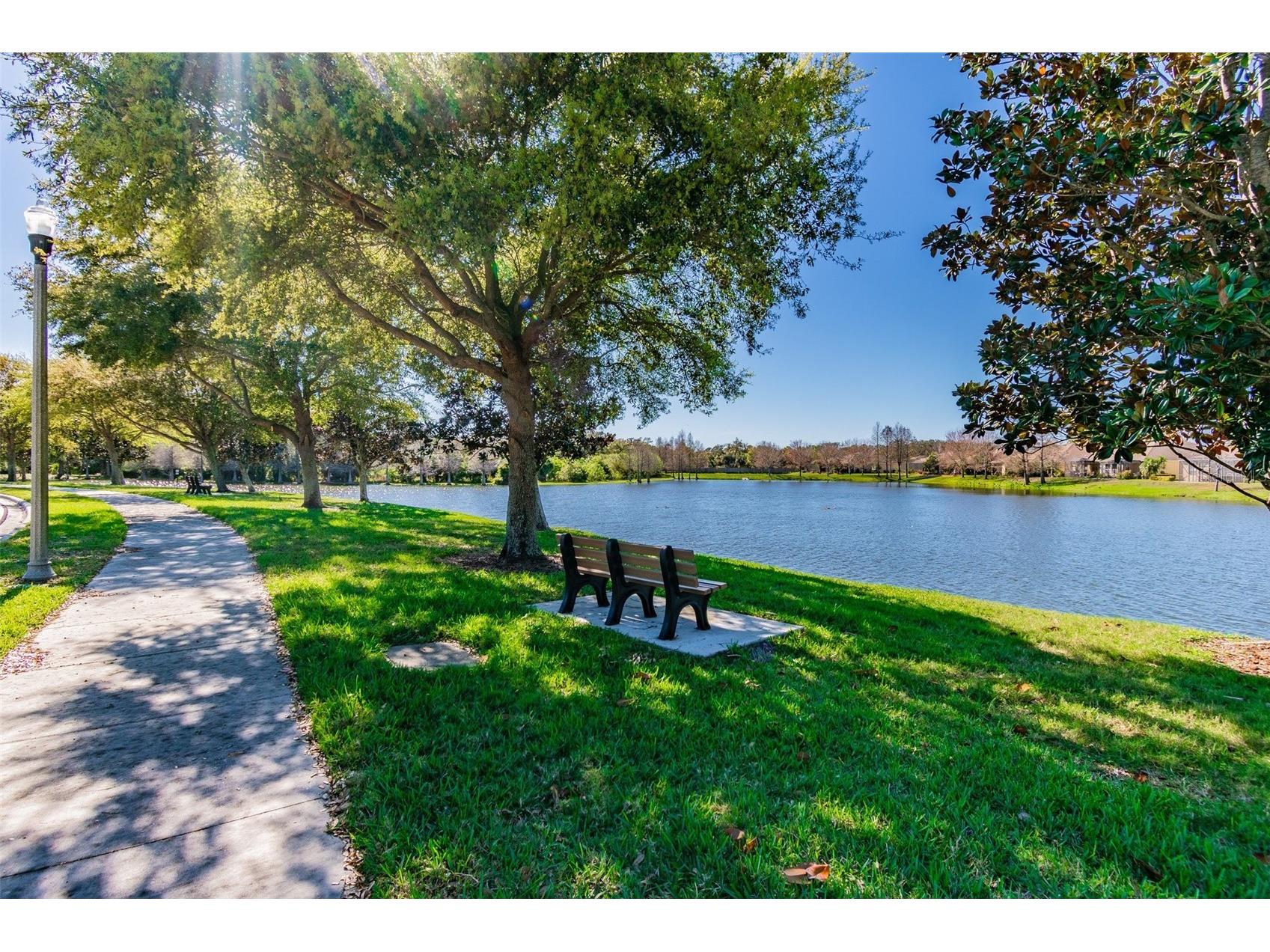 2211 Barracuda Court Holiday FL 34691 TB8471955 image5