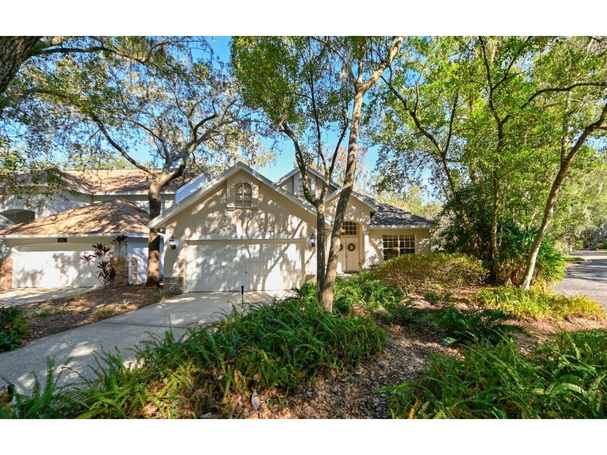2211 Green Oaks Lane Tampa FL 33612 - LAKE SENAC T3486782 image1