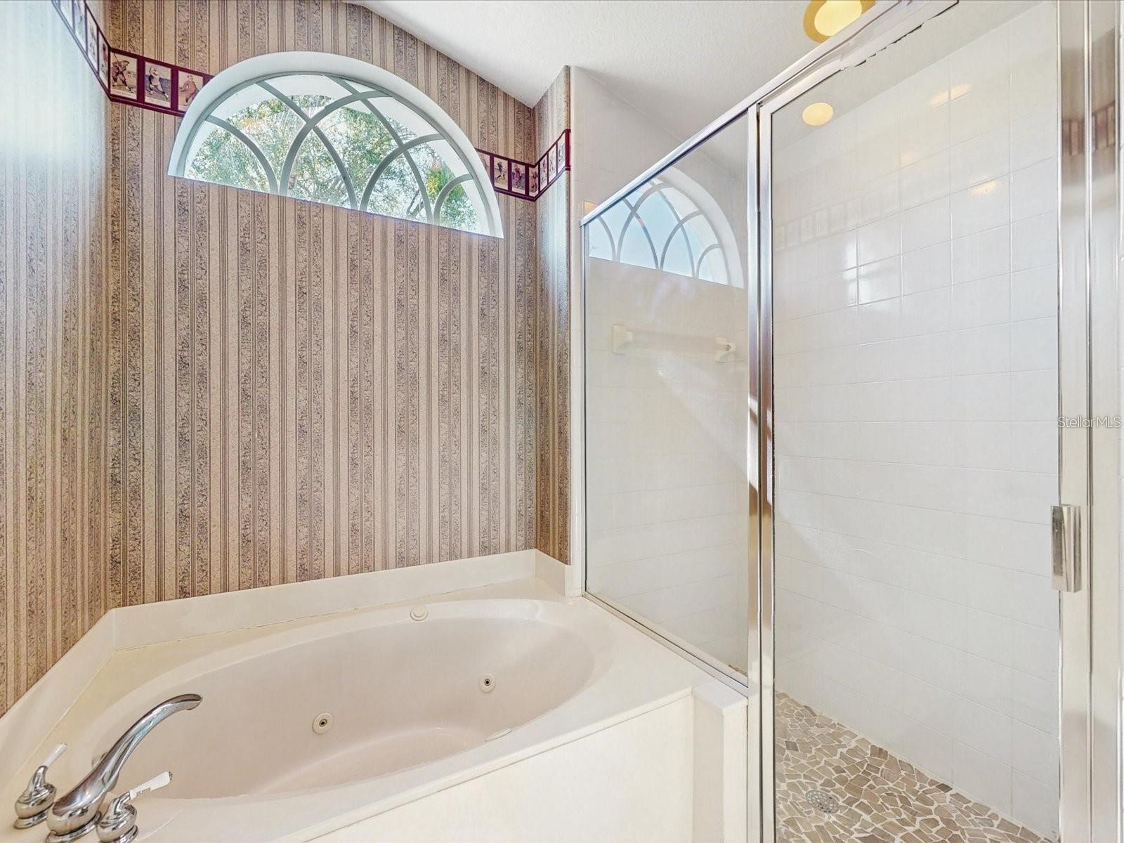 2211 Jessica Lane Kissimmee FL 34744 S5153786 image10