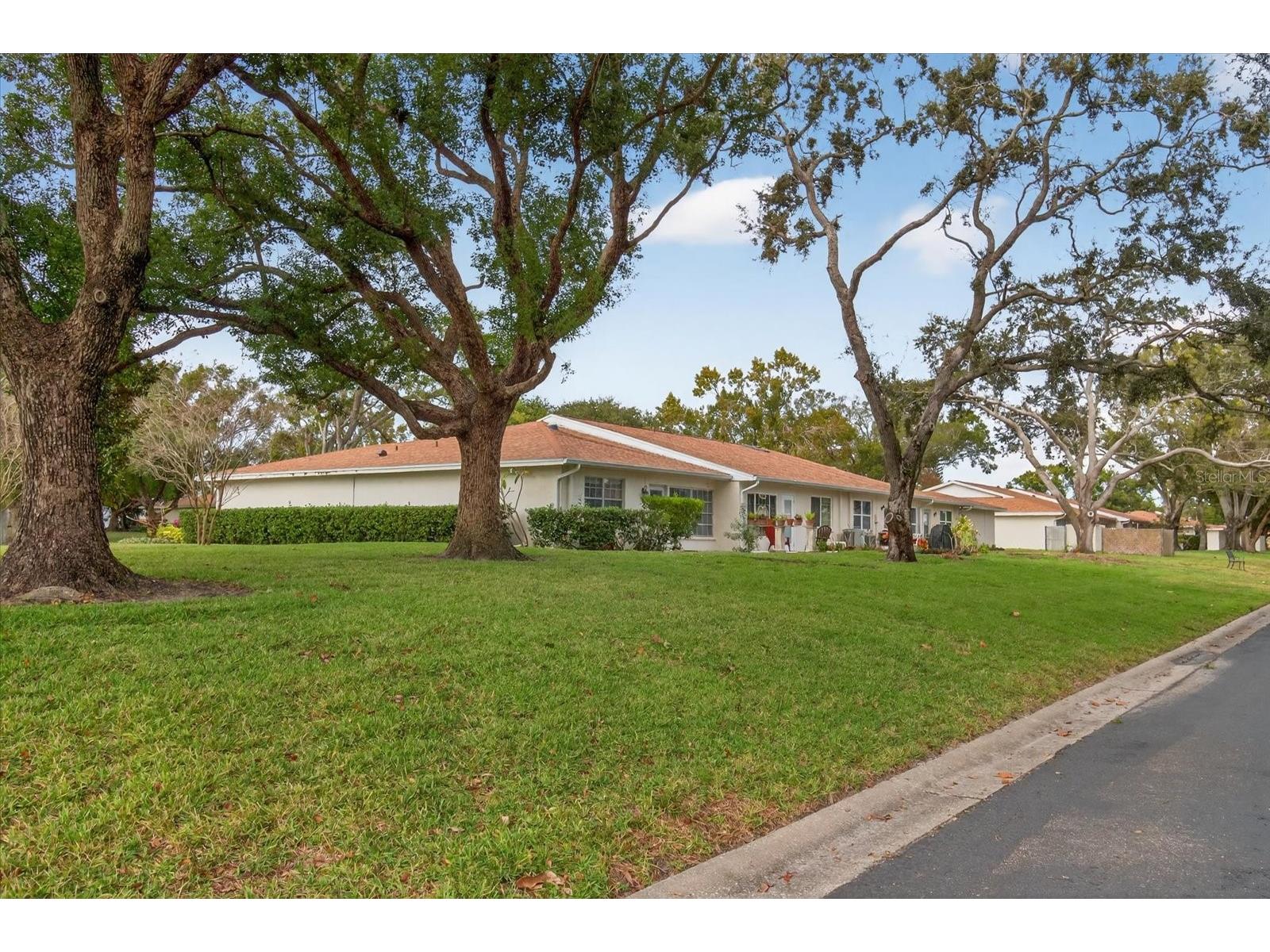 2211 Lark Circle W #D Palm Harbor FL 34684 - LAKE TARPON TB8456530 image45
