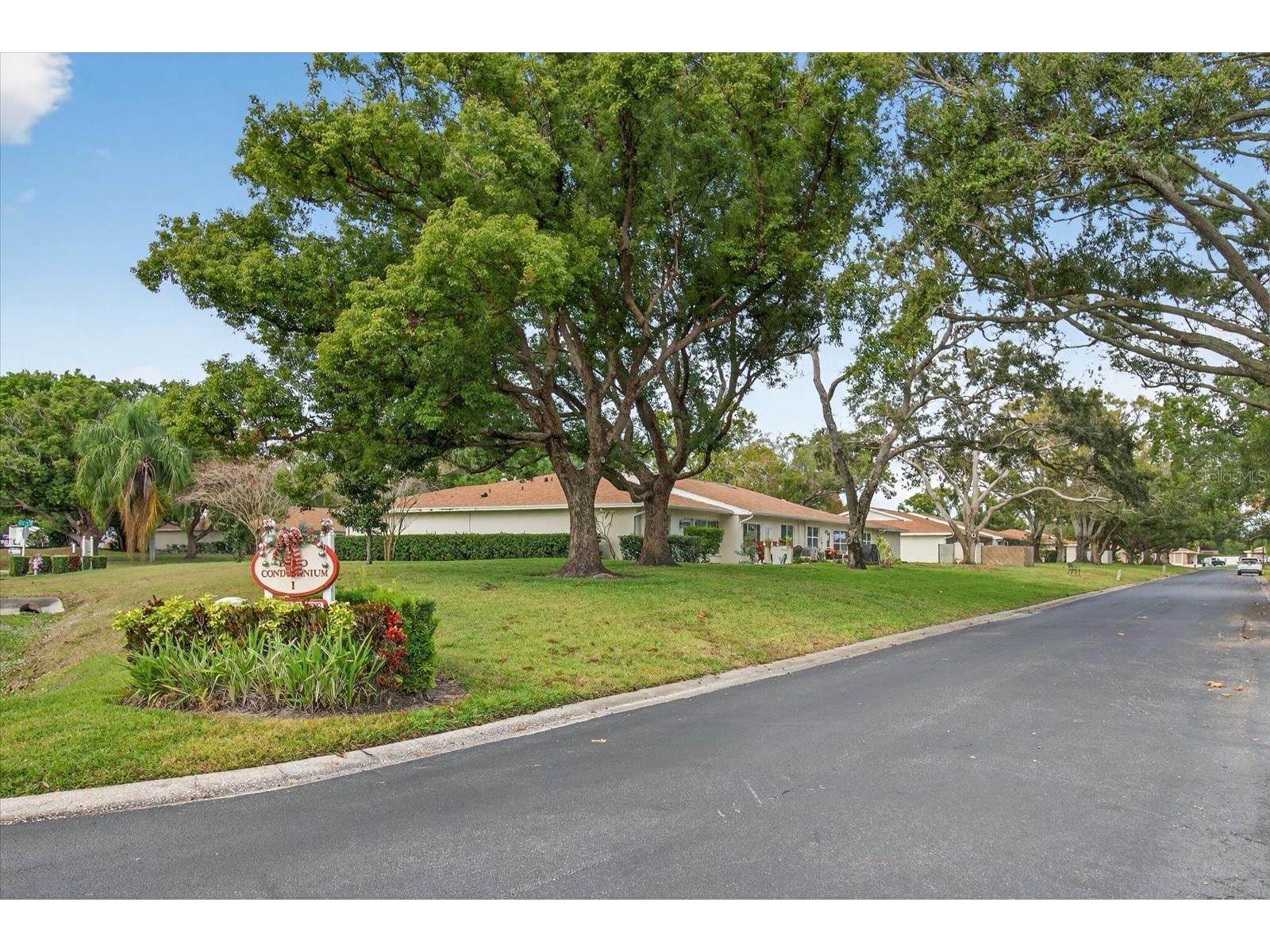 2211 Lark Circle W #D Palm Harbor FL 34684 - LAKE TARPON TB8456530 image46