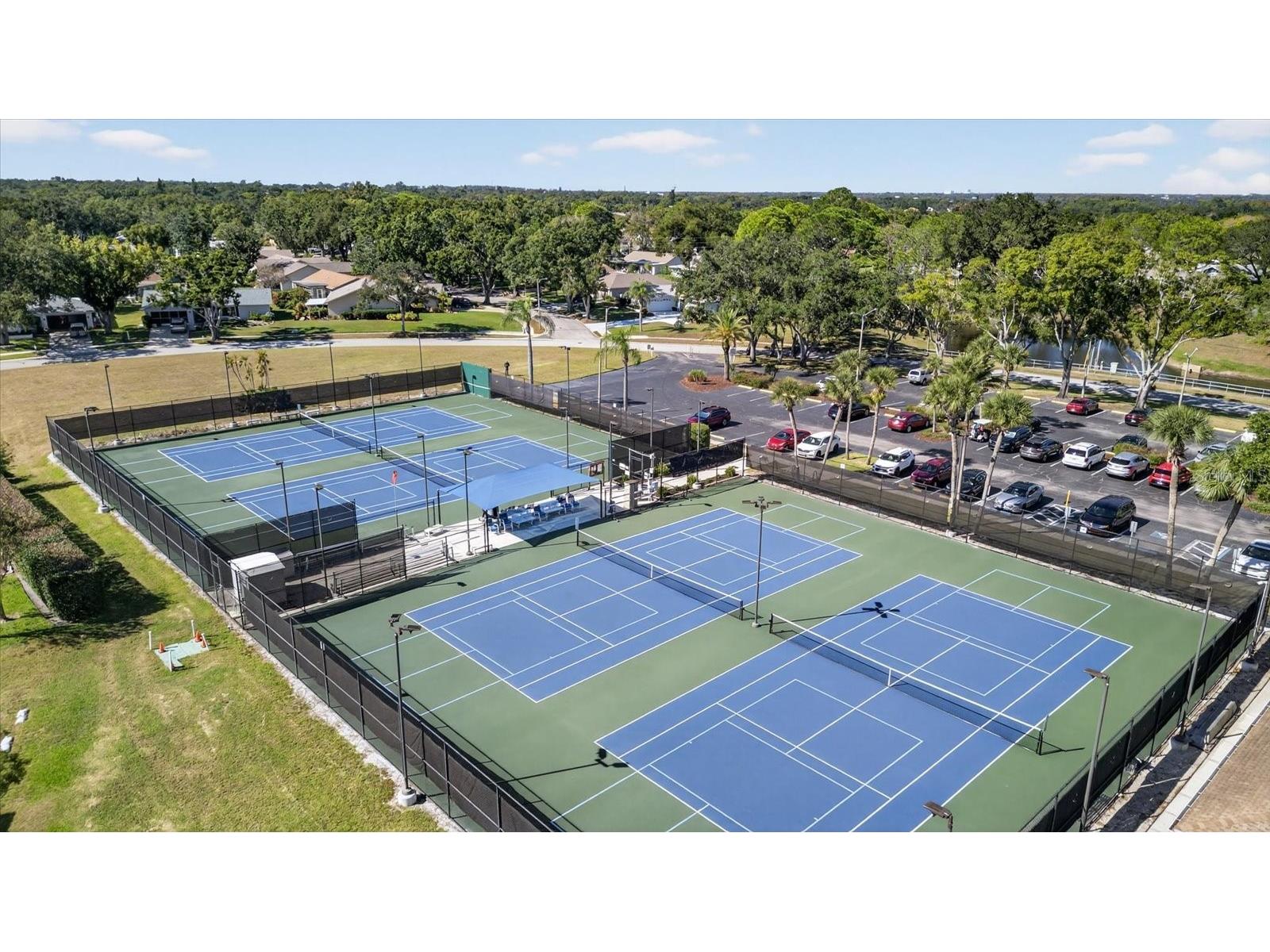 2211 Lark Circle W #D Palm Harbor FL 34684 - LAKE TARPON TB8456530 image57