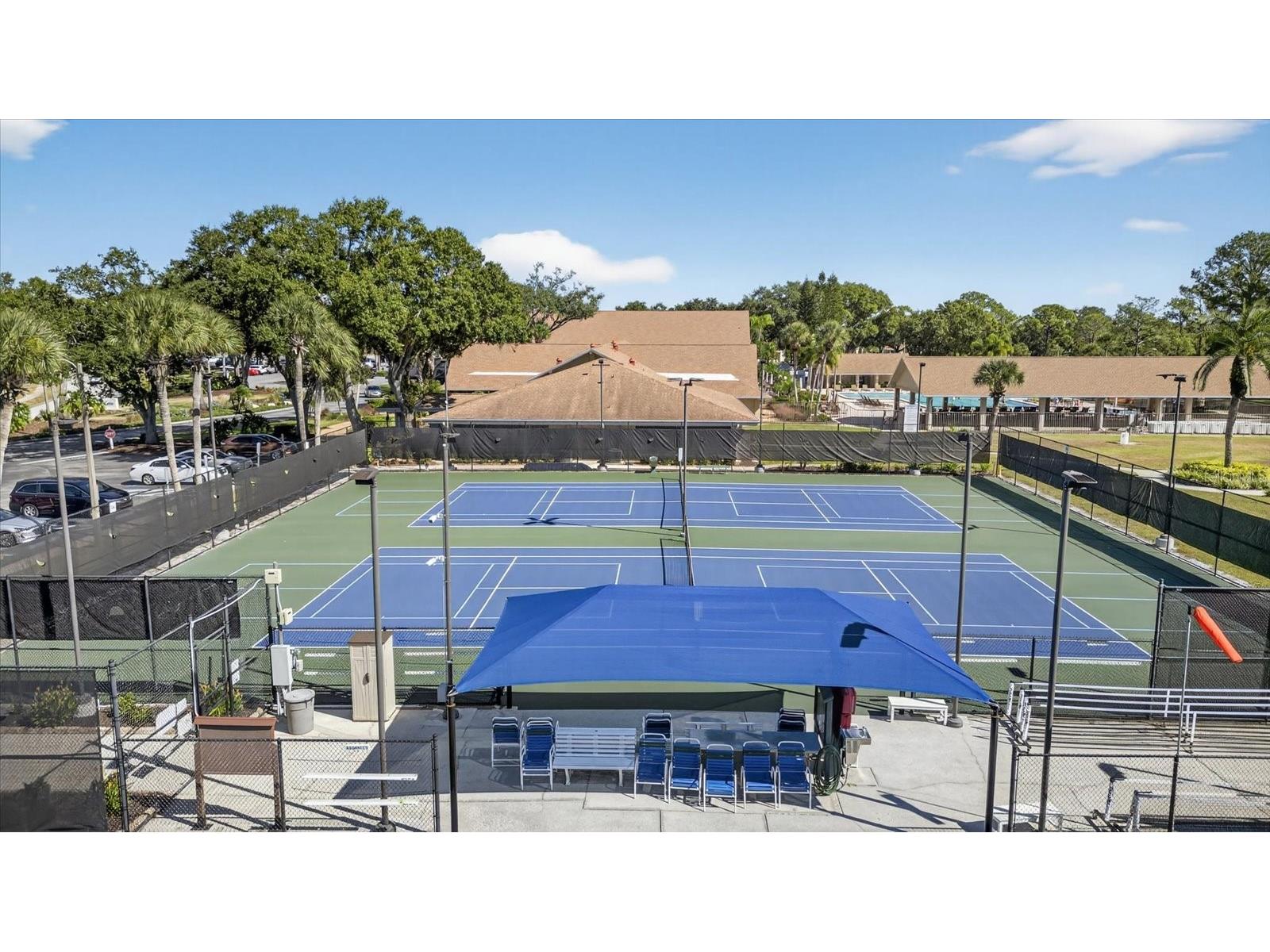 2211 Lark Circle W #D Palm Harbor FL 34684 - LAKE TARPON TB8456530 image58