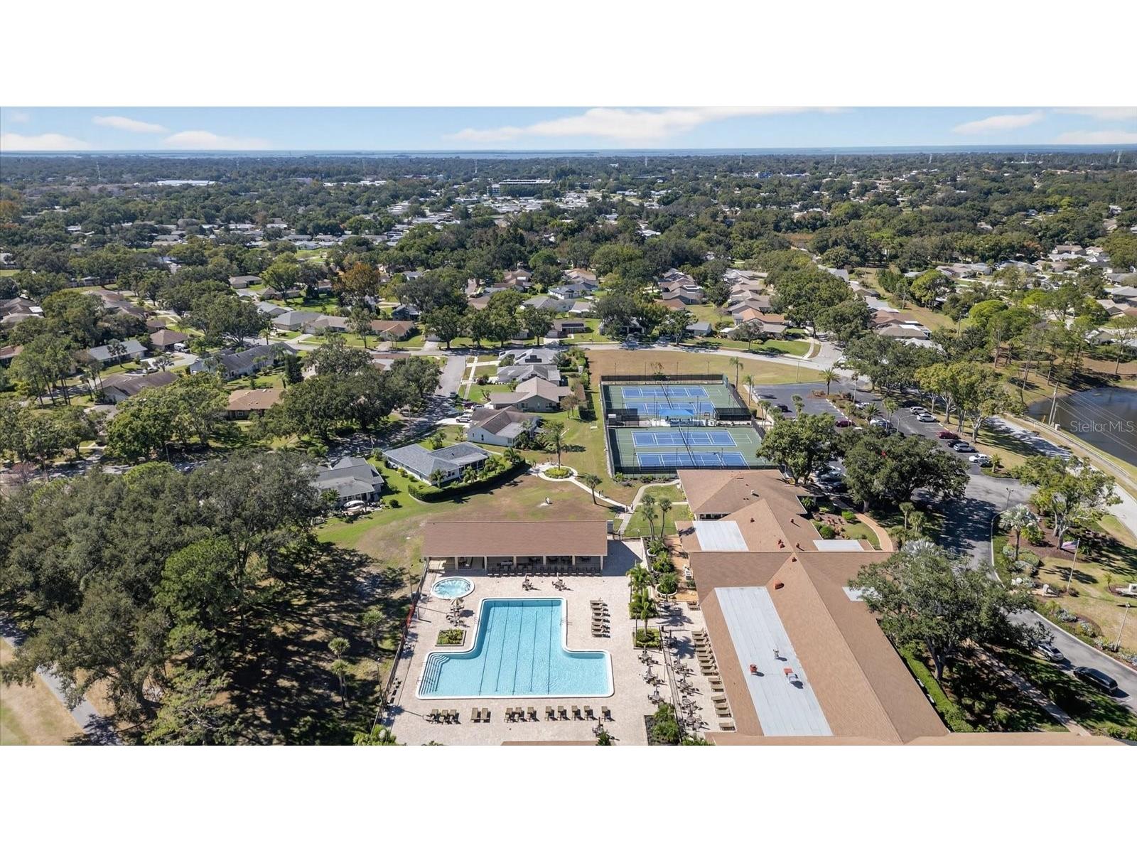 2211 Lark Circle W #D Palm Harbor FL 34684 - LAKE TARPON TB8456530 image59