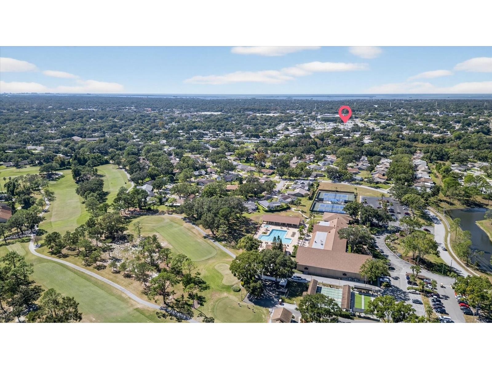 2211 Lark Circle W #D Palm Harbor FL 34684 - LAKE TARPON TB8456530 image60