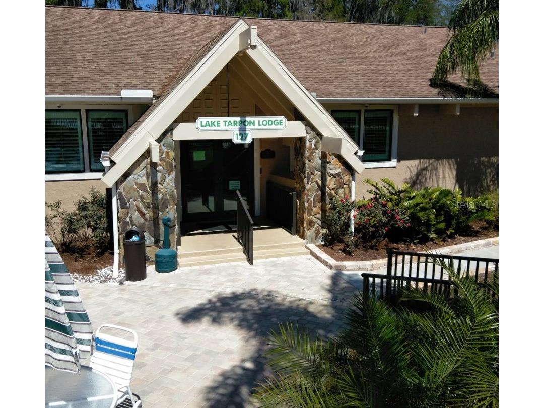 2211 Lark Circle W #D Palm Harbor FL 34684 - LAKE TARPON TB8456530 image62