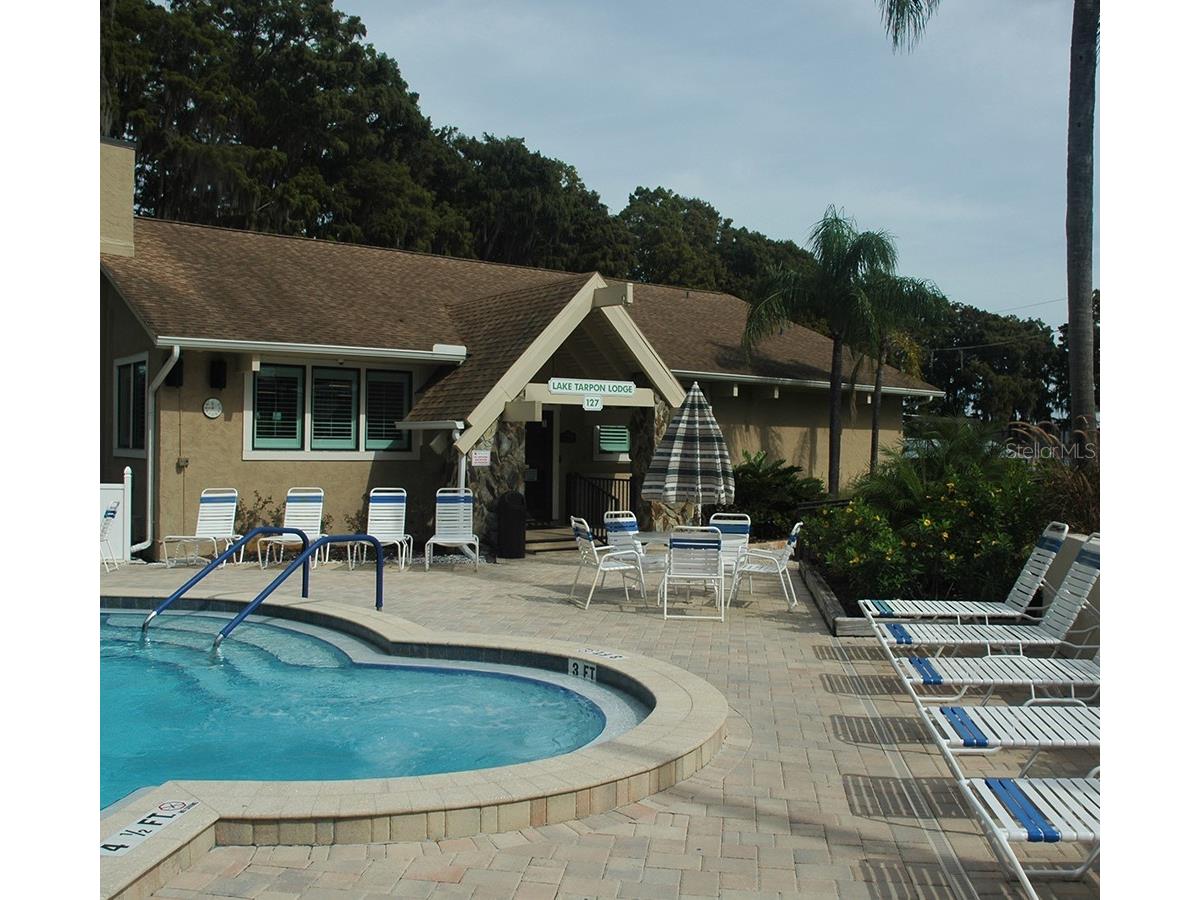 2211 Lark Circle W #D Palm Harbor FL 34684 - LAKE TARPON TB8456530 image63