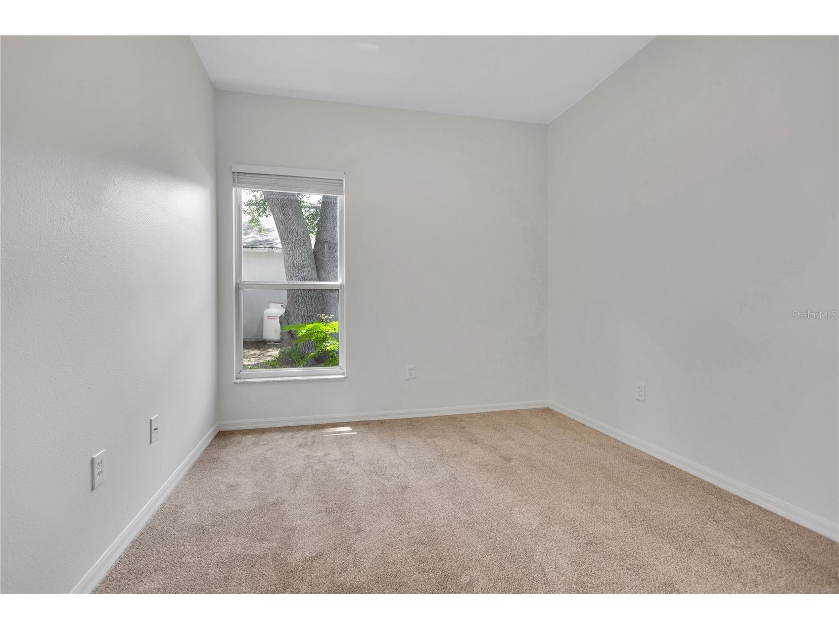 2211 Mountain Meadow Way Valrico FL 33594 O6423994 image19