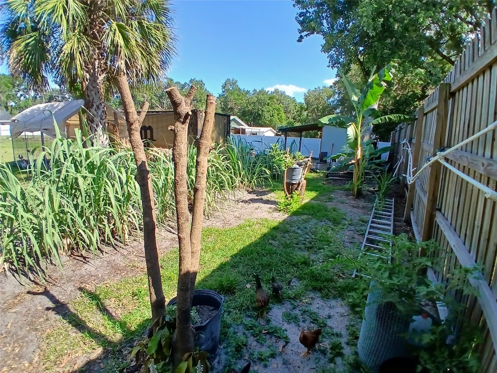 2211 New Jersey Road Lakeland FL 33803 S5146513 image27