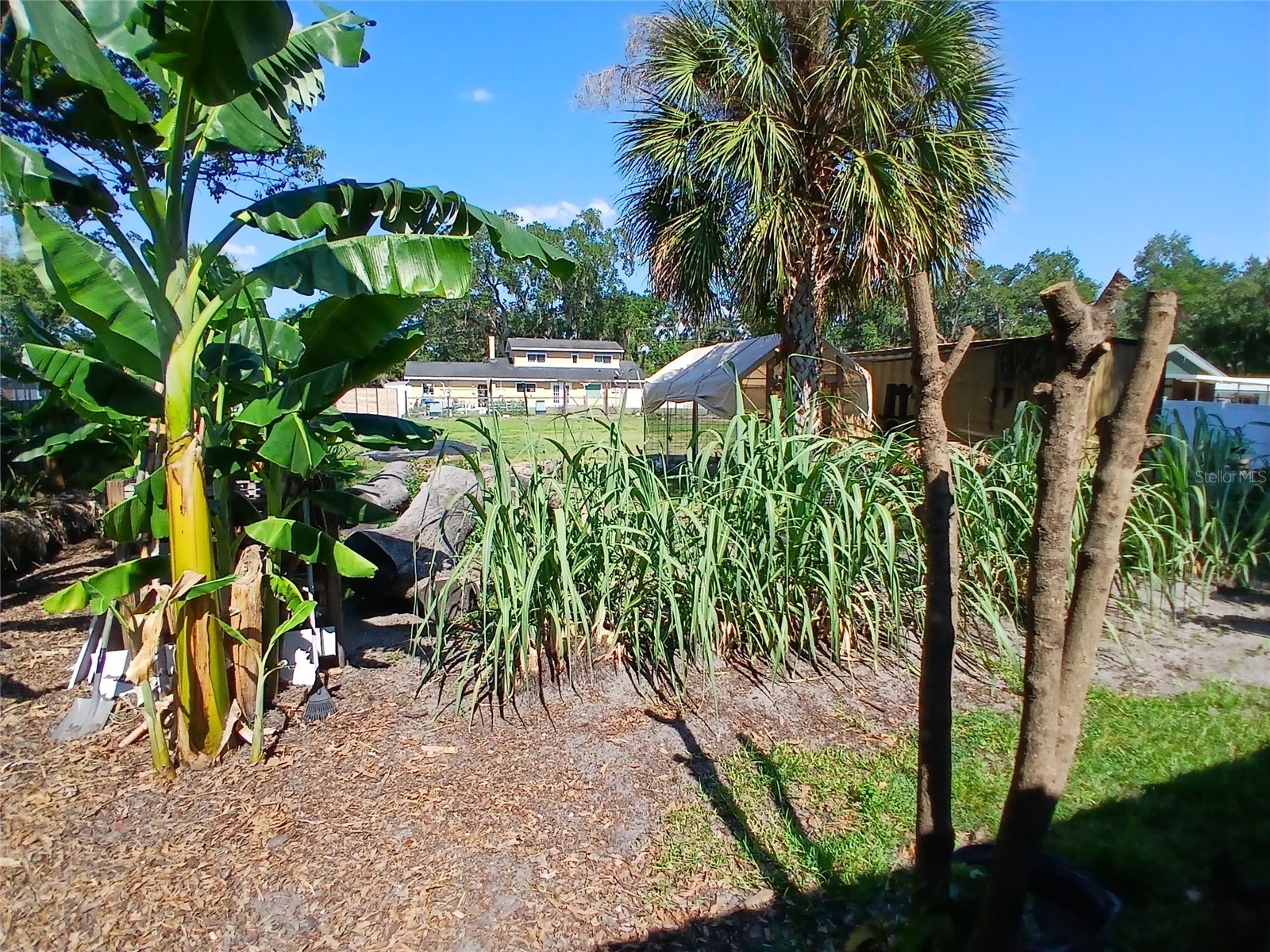 2211 New Jersey Road Lakeland FL 33803 S5146513 image29