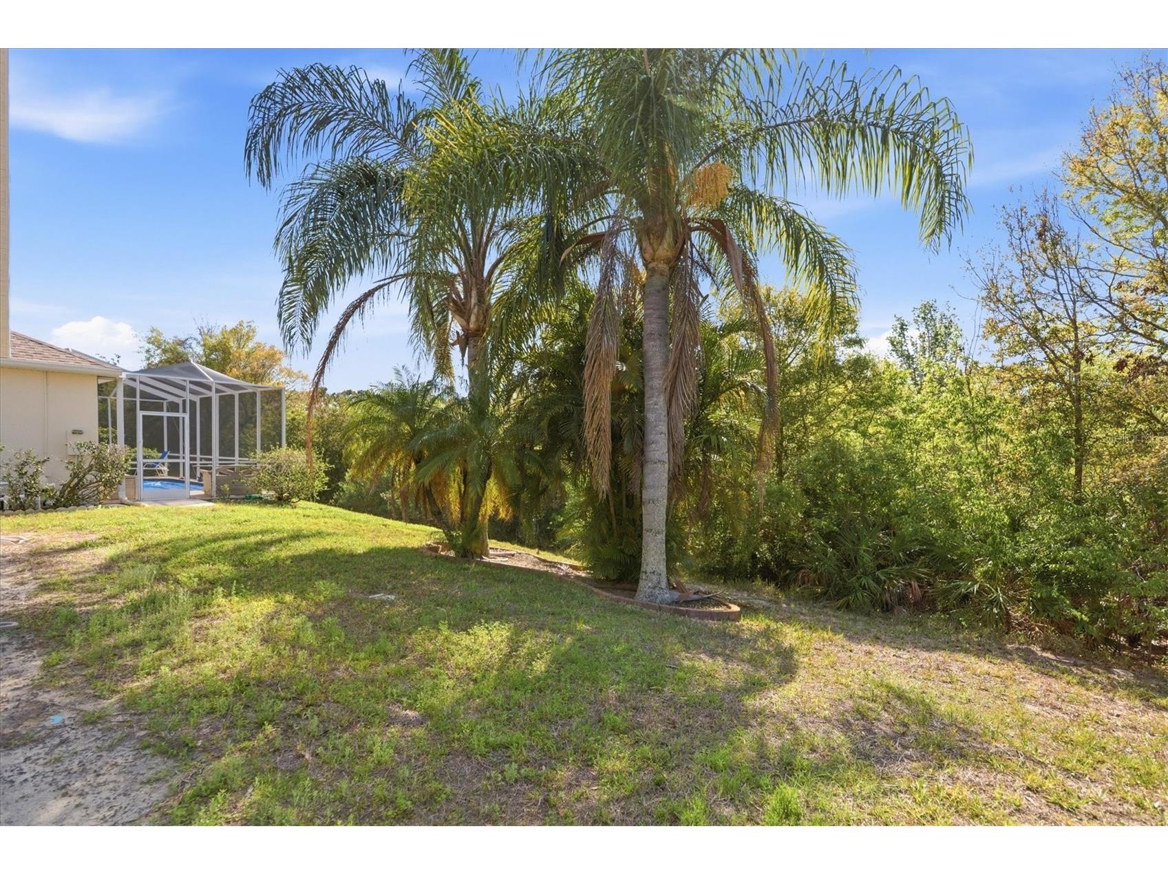 2211 Pleasant Hill Lane Holiday FL 34691 TB8485823 image34
