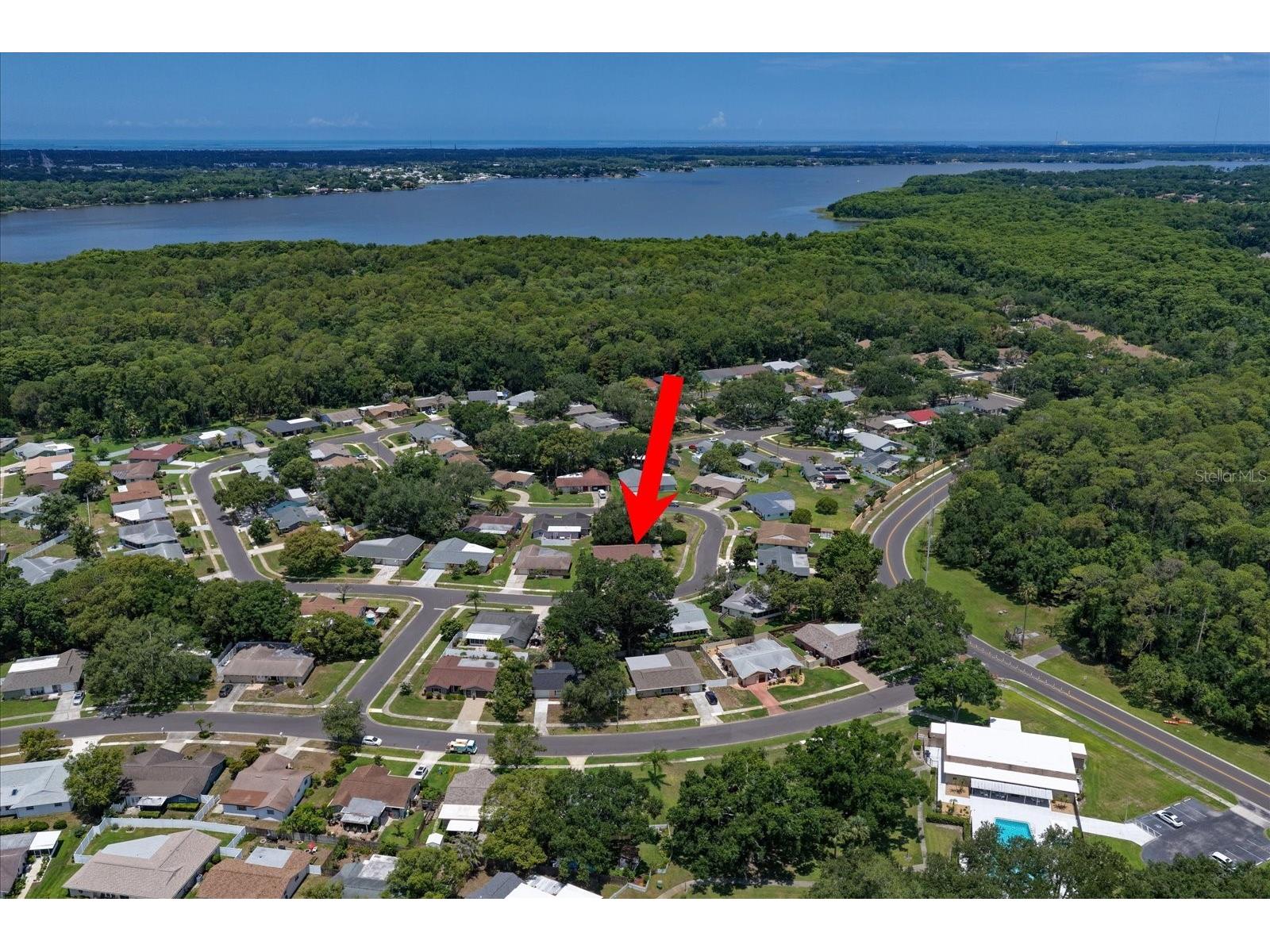 2211 Portside Passage Palm Harbor FL 34685 TB8519351 image3