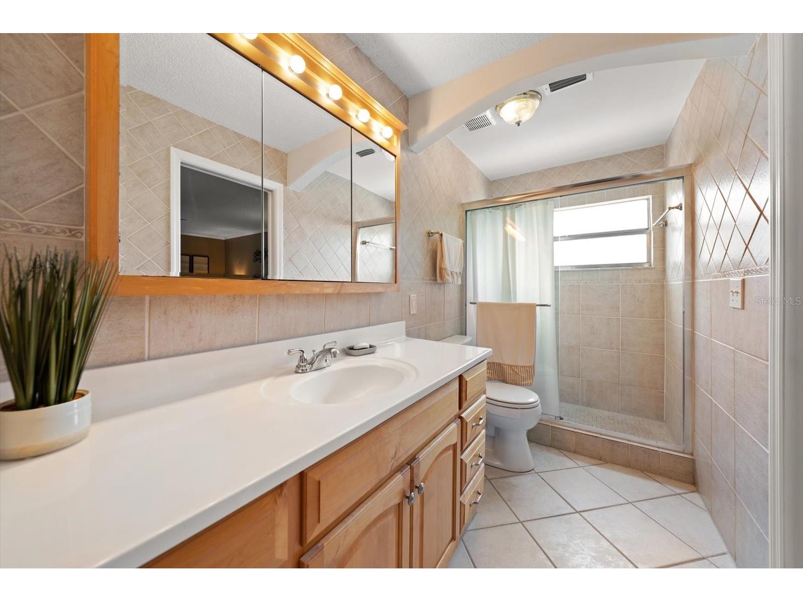 2211 Portside Passage Palm Harbor FL 34685 TB8519351 image35