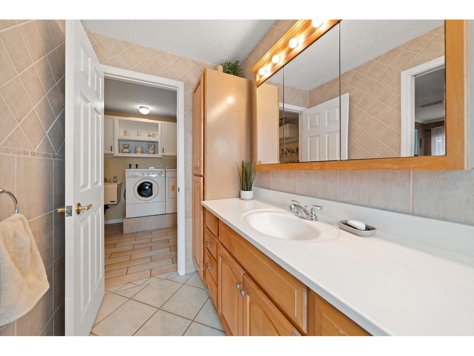 2211 Portside Passage Palm Harbor FL 34685 TB8519351 image37