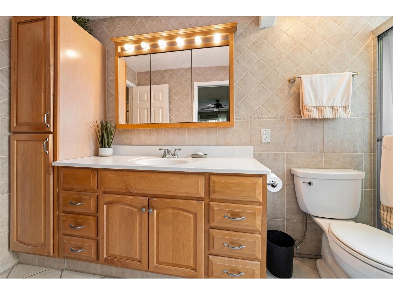 2211 Portside Passage Palm Harbor FL 34685 TB8519351 image38
