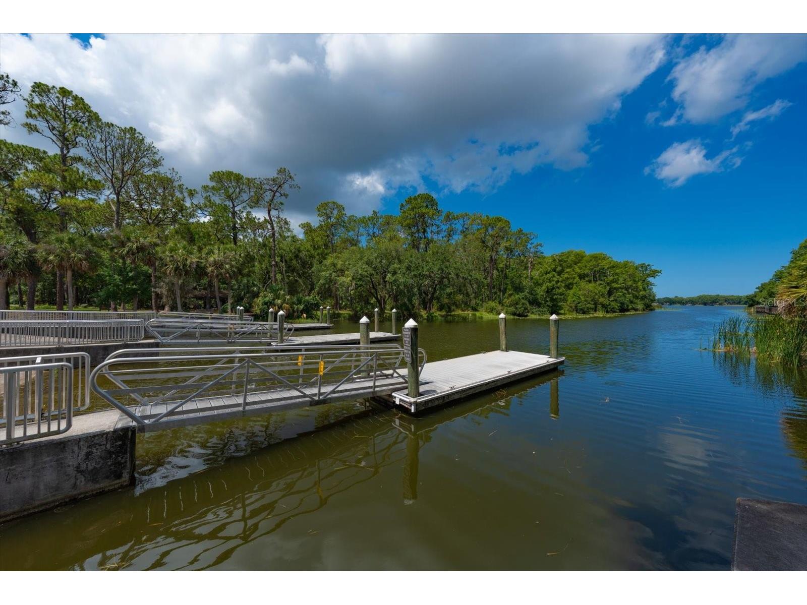 2211 Portside Passage Palm Harbor FL 34685 TB8519351 image54