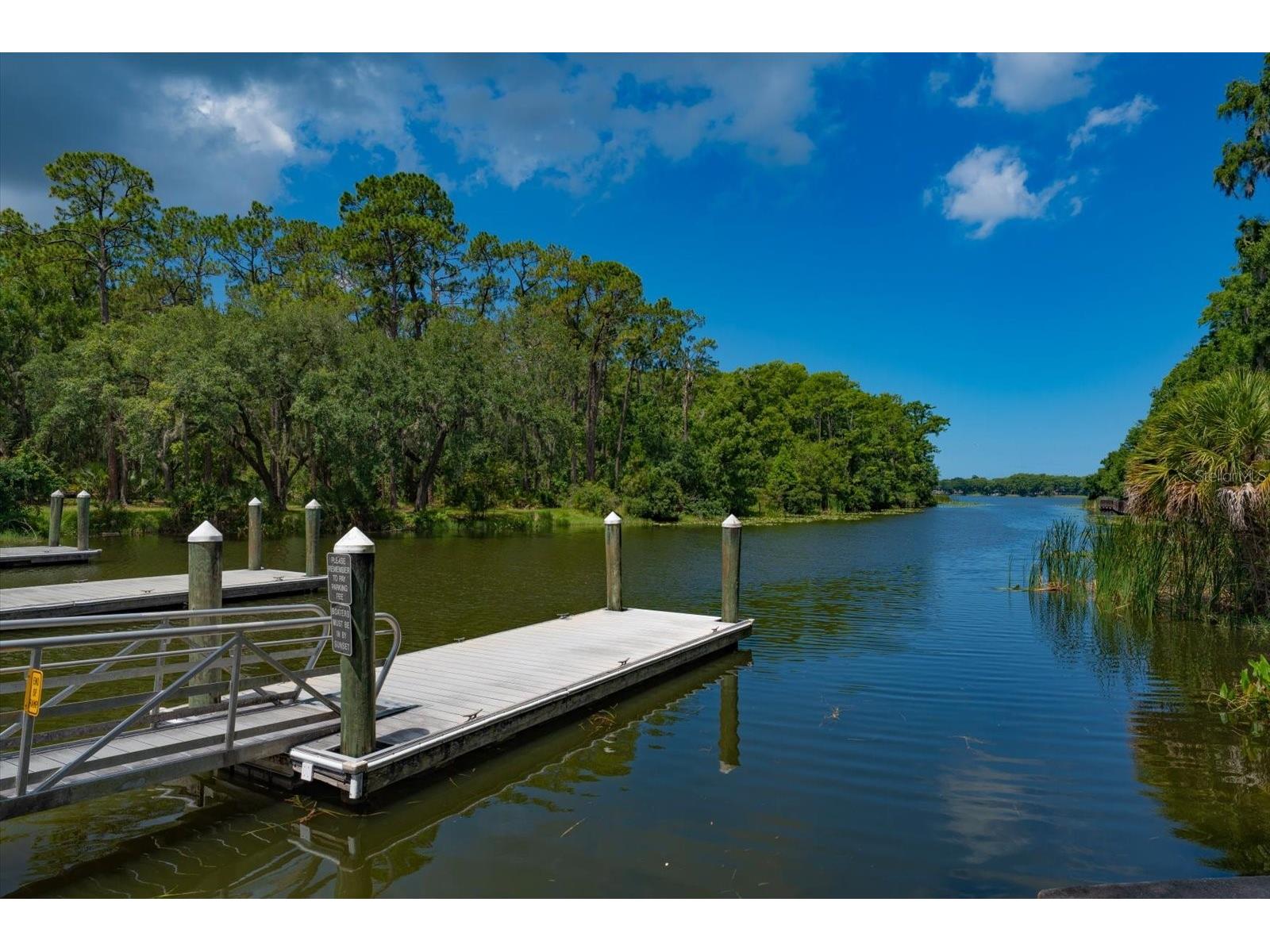 2211 Portside Passage Palm Harbor FL 34685 TB8519351 image55