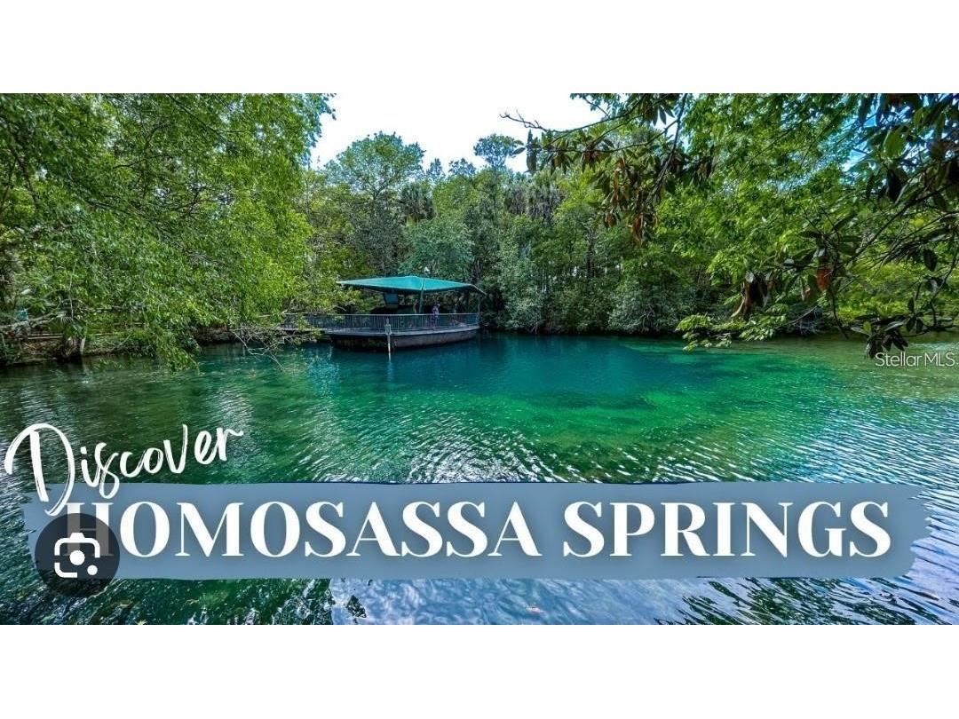 2211 S Trivet Point Homosassa FL 34448 A4666882 image12
