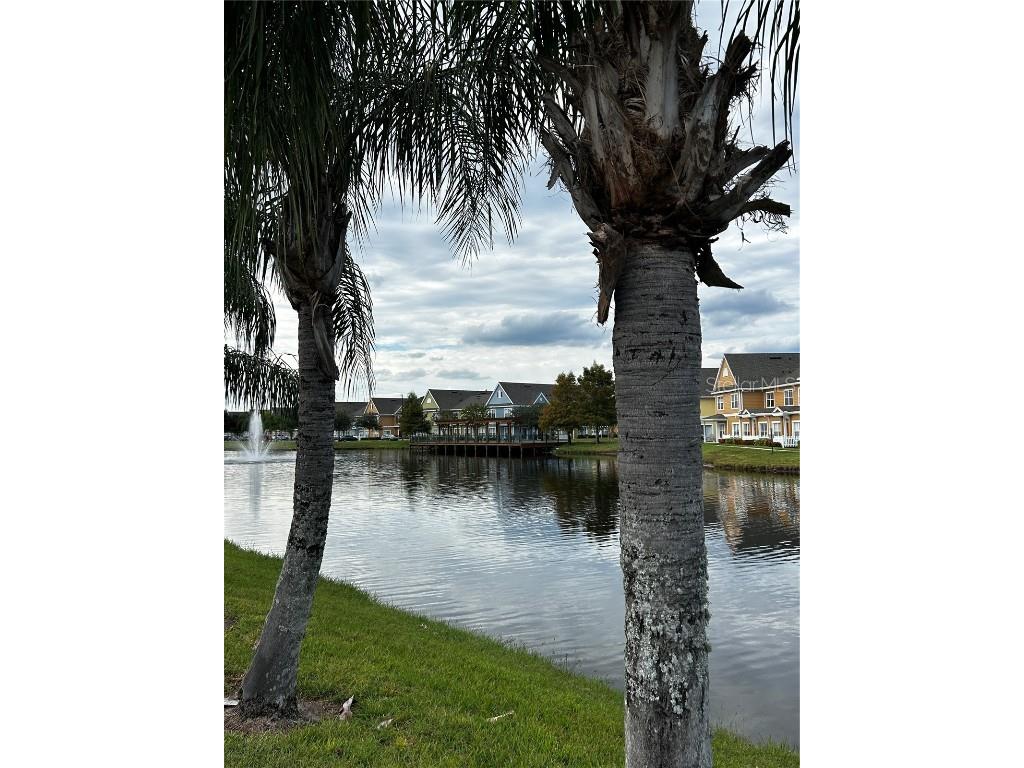 2211 San Vittorino Circle #103 Kissimmee FL 34741 O6356070 image25