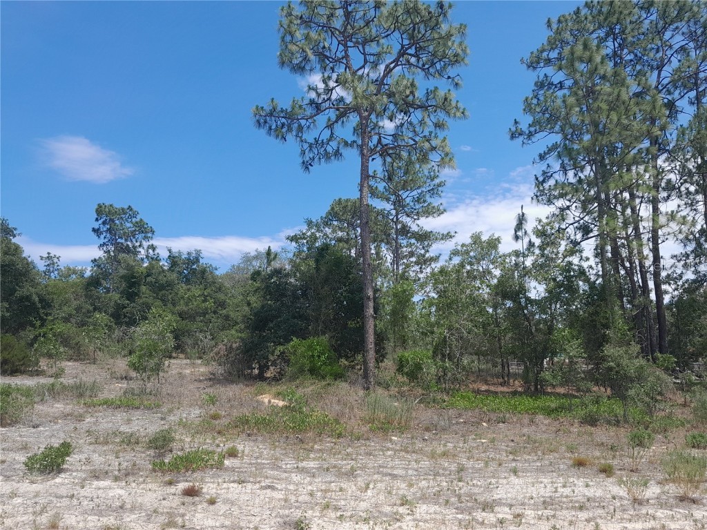 2211 SE State Road 121 Morriston FL 32668 OM679469 image3