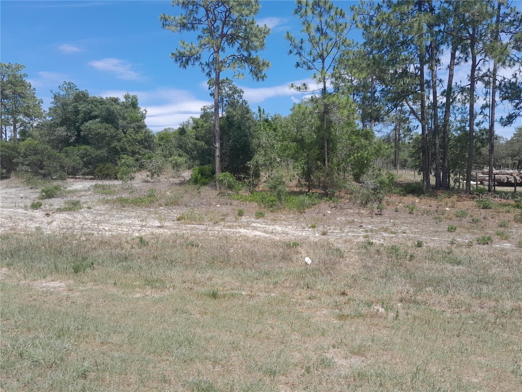 2211 SE State Road 121 Morriston FL 32668 OM679469 image4