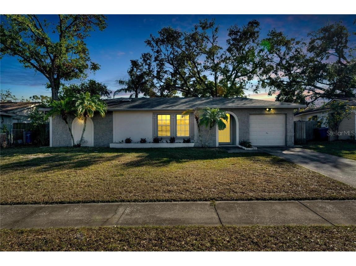 2211 Whitney Place Valrico FL 33594 TB8325774 image1