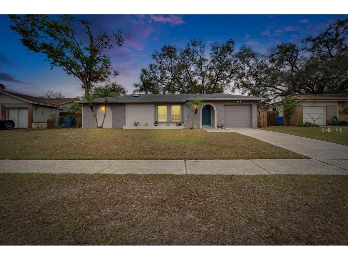 2211 Whitney Place Valrico FL 33594 TB8342211 image1