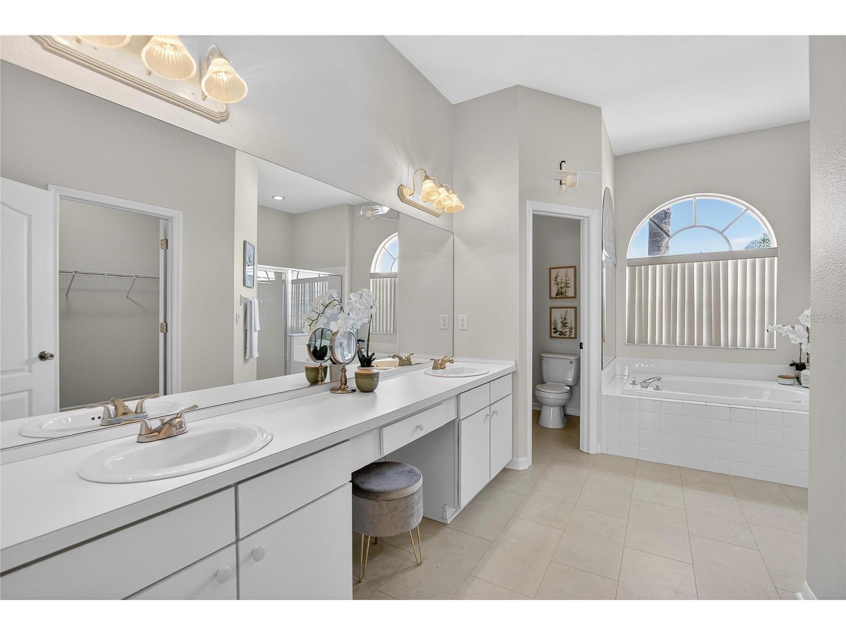 22118 Yachtclub Terrace Land O Lakes FL 34639 TB8506345 image23