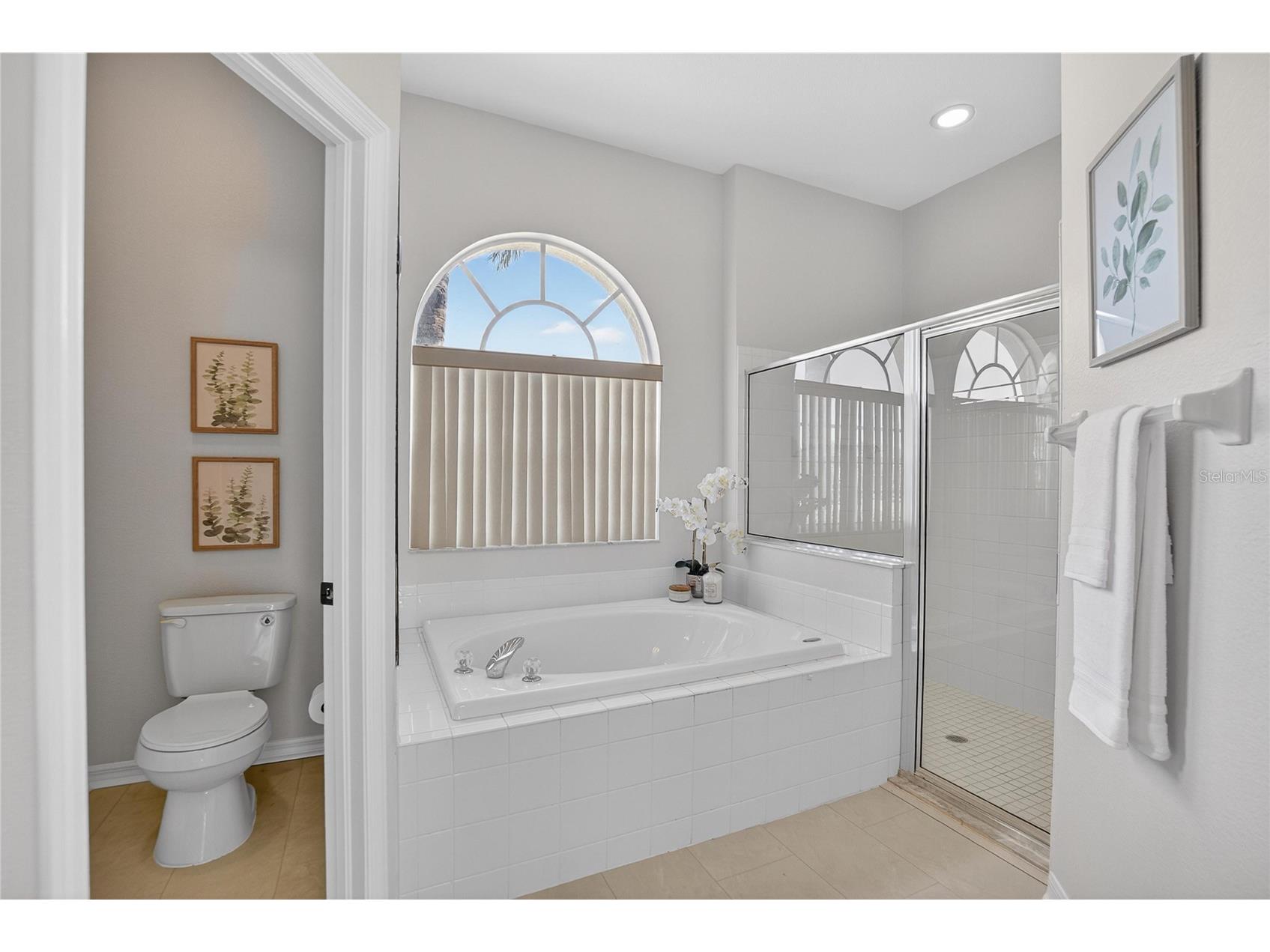 22118 Yachtclub Terrace Land O Lakes FL 34639 TB8506345 image24