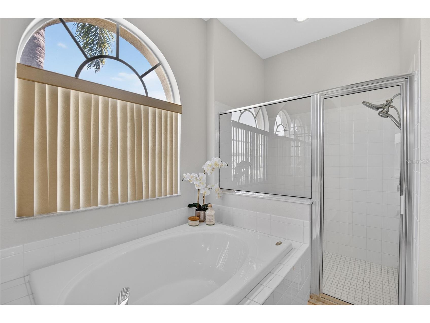 22118 Yachtclub Terrace Land O Lakes FL 34639 TB8506345 image25