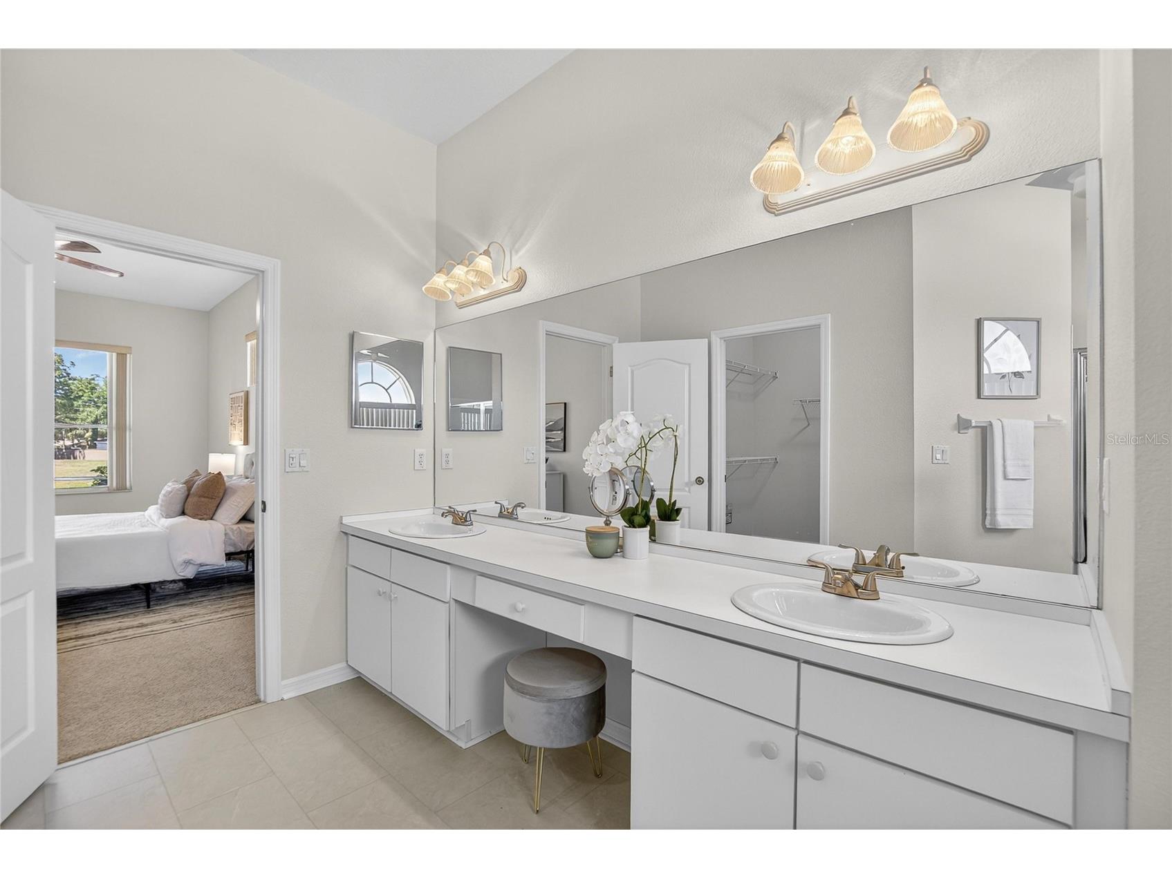 22118 Yachtclub Terrace Land O Lakes FL 34639 TB8506345 image26