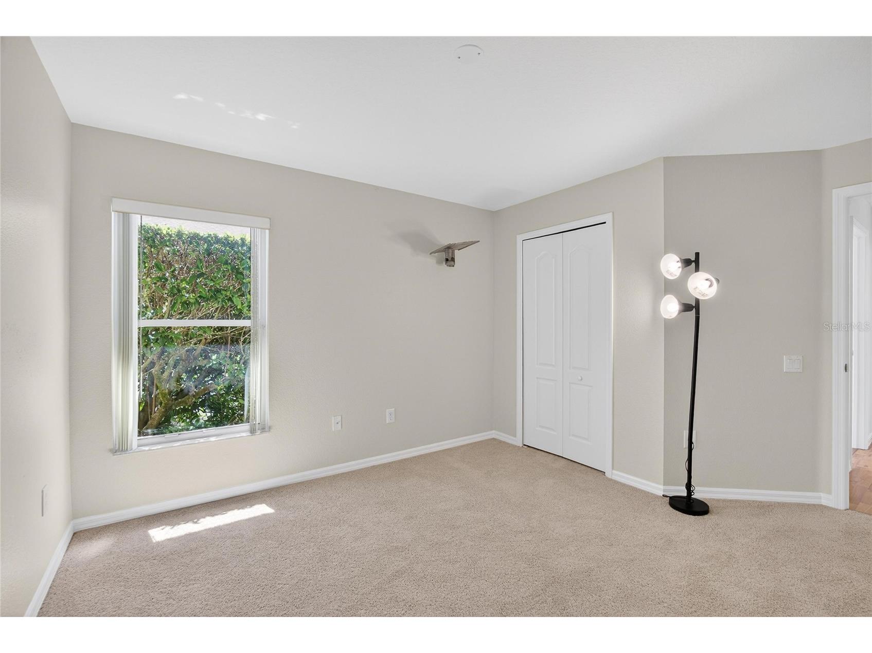 22118 Yachtclub Terrace Land O Lakes FL 34639 TB8506345 image34