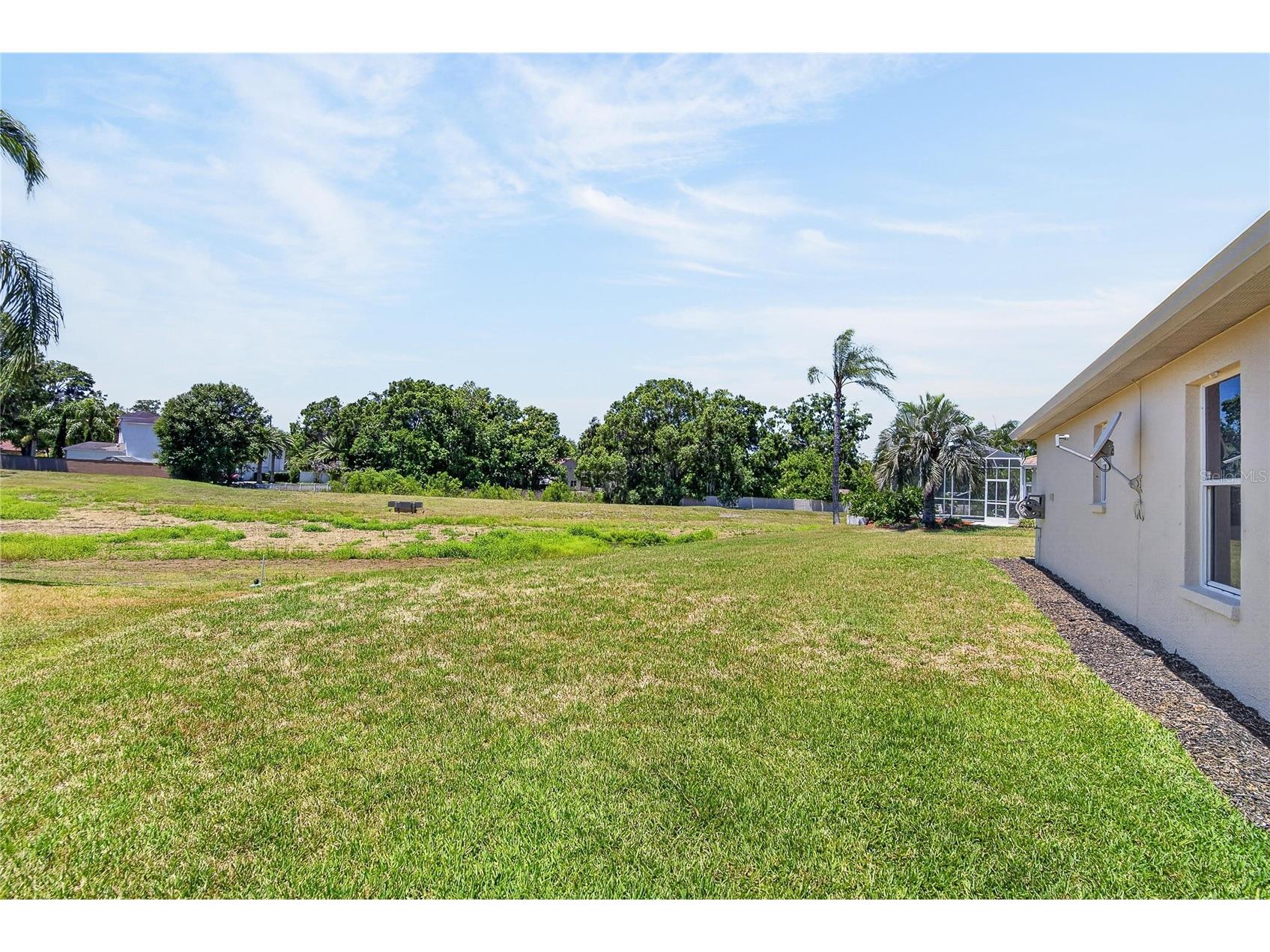22118 Yachtclub Terrace Land O Lakes FL 34639 TB8506345 image43