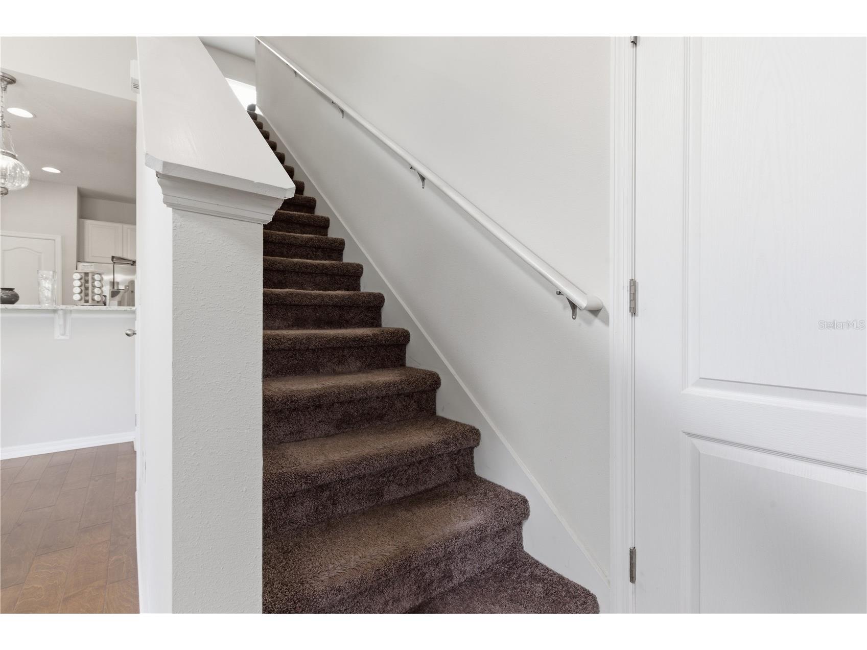 2212 Broadway View Avenue Brandon FL 33510 TB8486937 image24