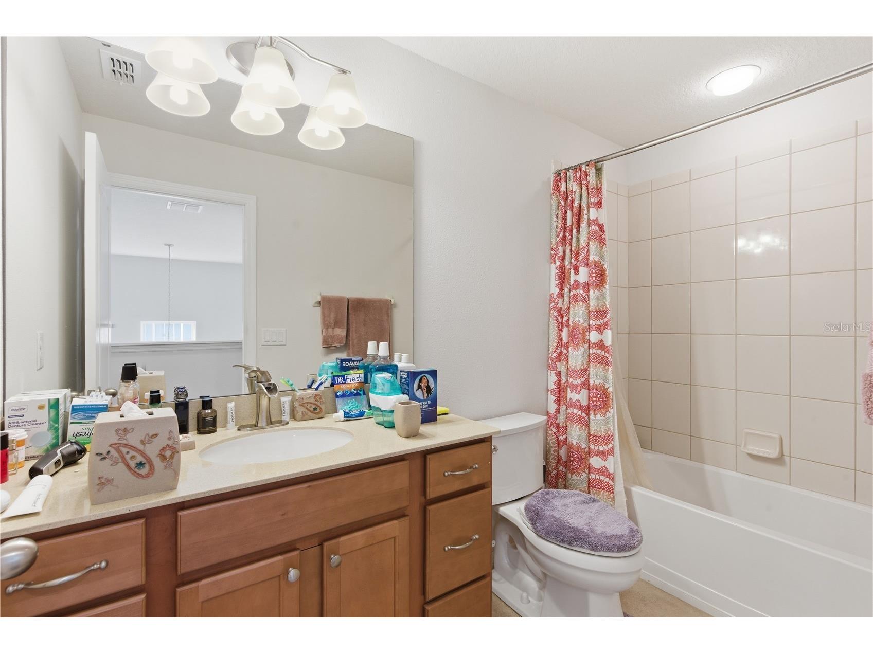 2212 Broadway View Avenue Brandon FL 33510 TB8486937 image28