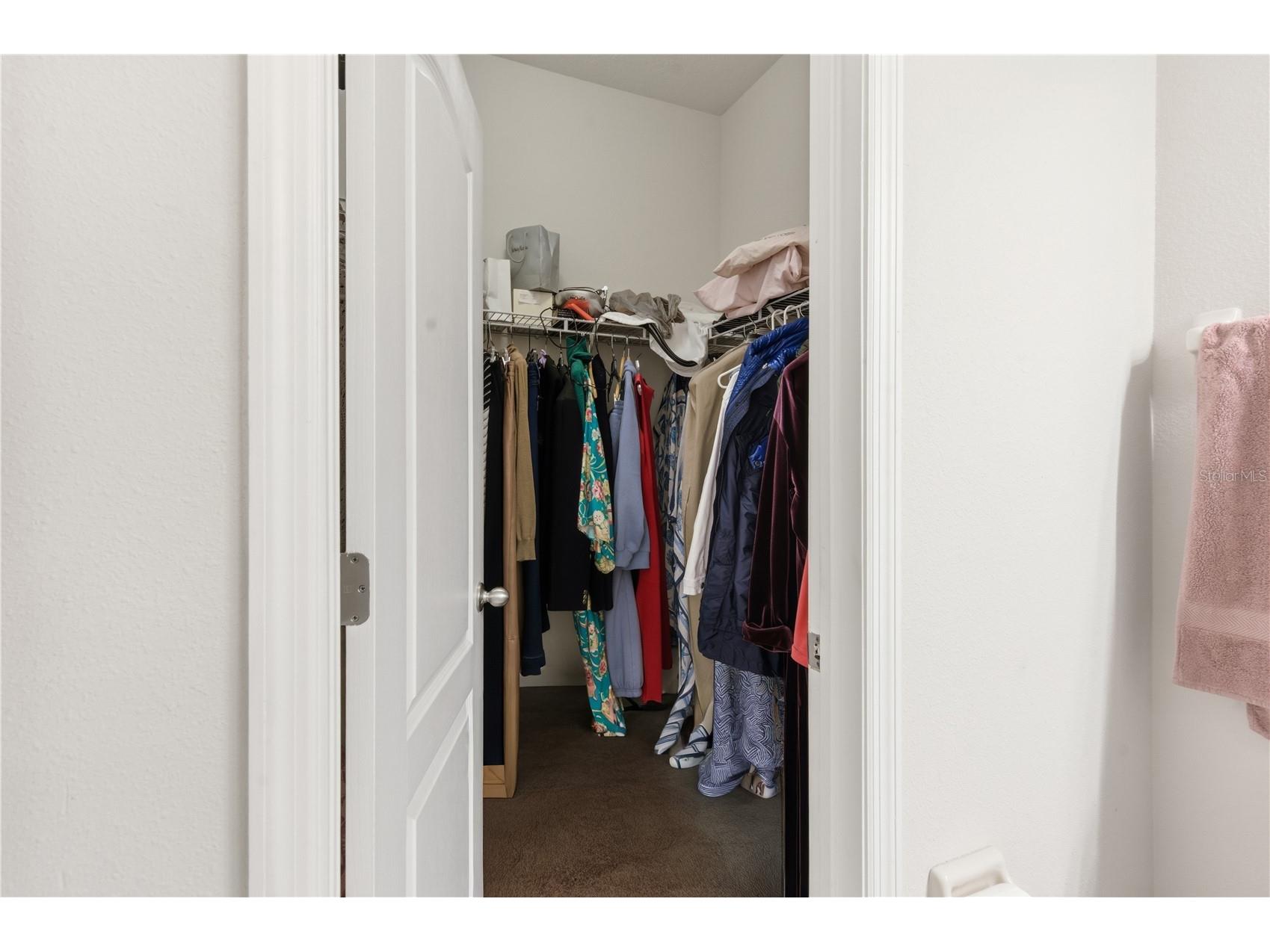 2212 Broadway View Avenue Brandon FL 33510 TB8486937 image35