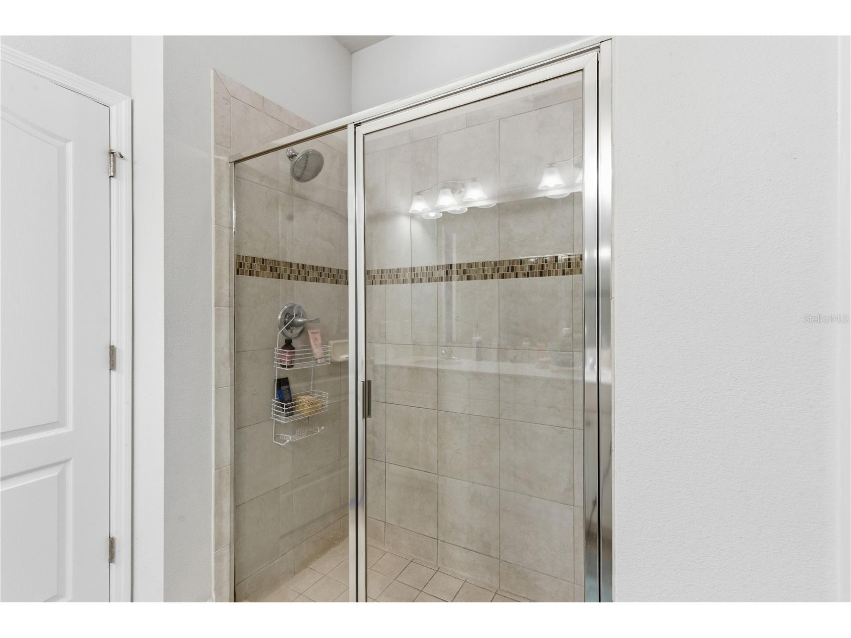 2212 Broadway View Avenue Brandon FL 33510 TB8486937 image36