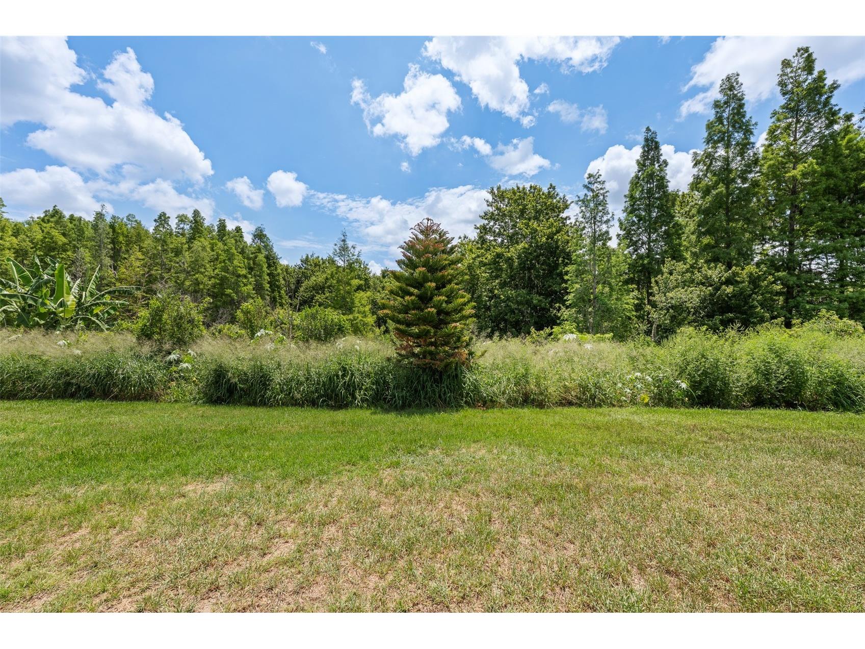 2212 Landside Drive Valrico FL 33594 TB8519820 image42