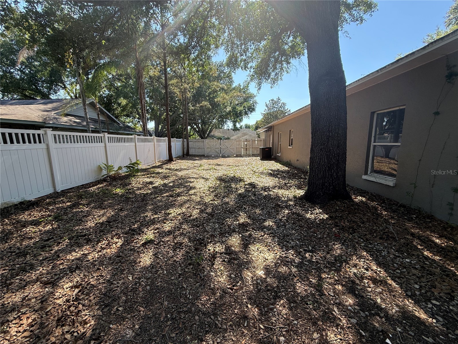 2212 Misty Ridge Lane Valrico FL 33594 TB8509136 image19