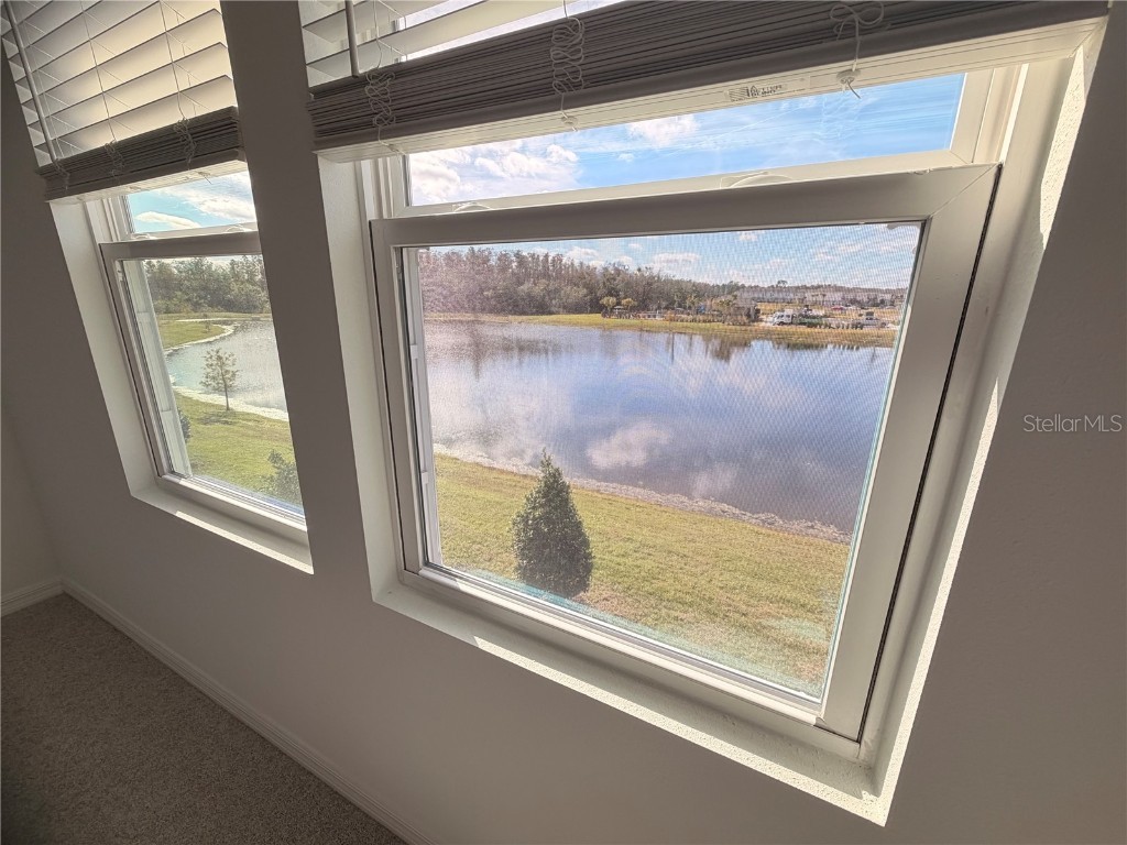 2212 Portrait Street Kissimmee FL 34758 O6365548 image18