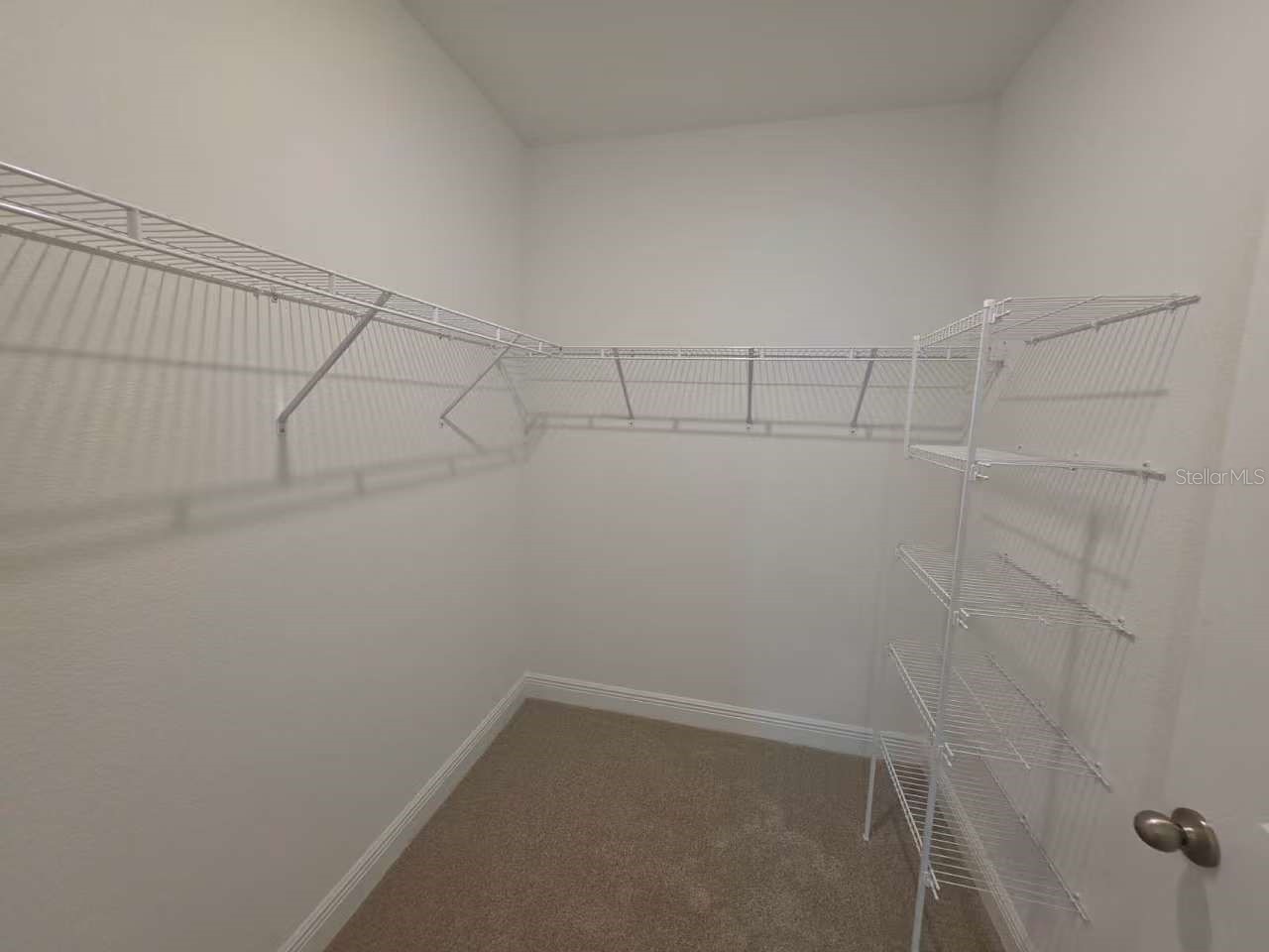 2212 Sienna Spruce Street Wesley Chapel FL 33543 TB8493411 image10